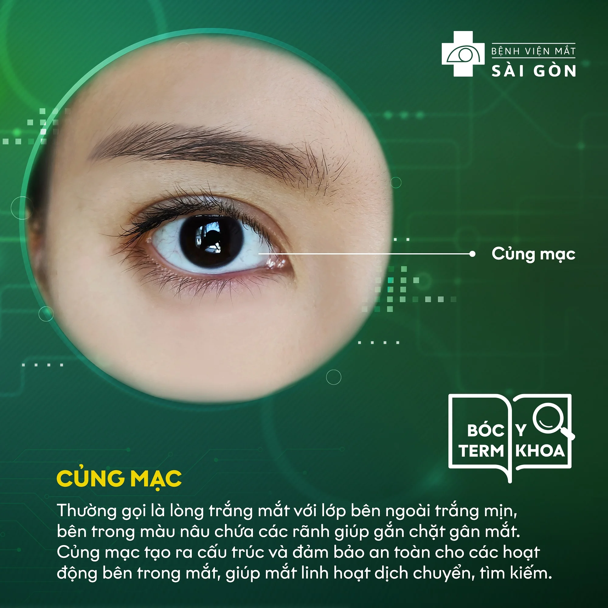 Củng mạc bệnh viện Mắt Sài Gòn