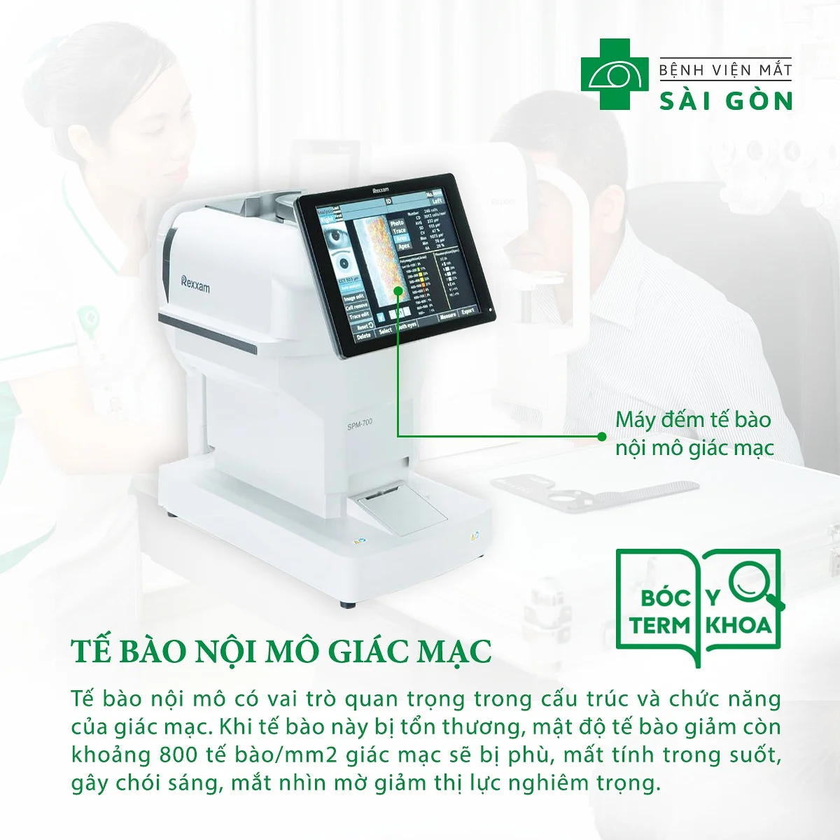 Tế bào nội mô giác mạc
